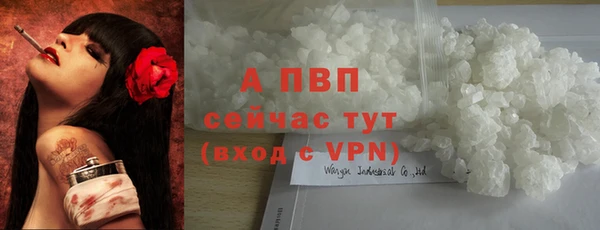 крисы Горняк