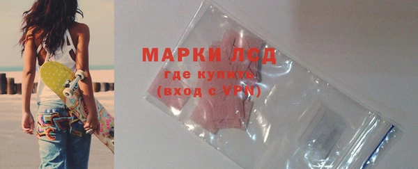 крисы Горняк