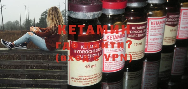 крисы Горняк