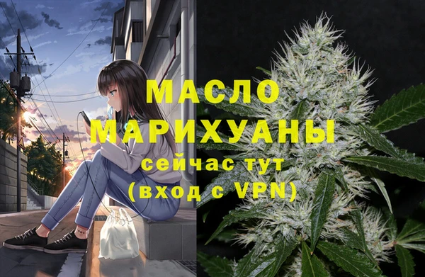 крисы Горняк