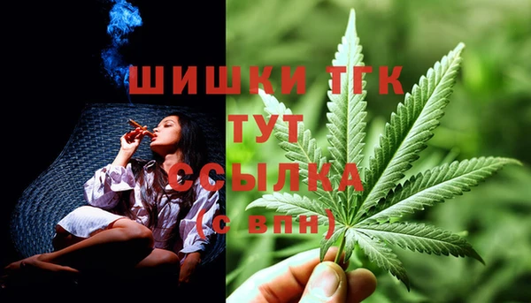 крисы Горняк