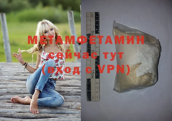 крисы Горняк