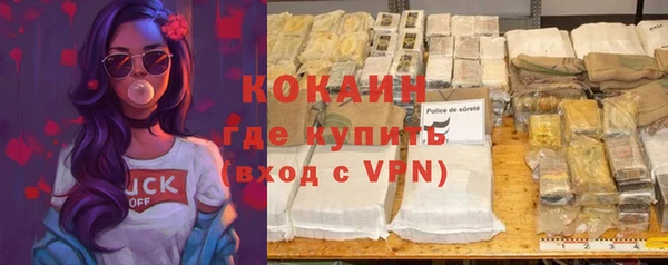 крисы Горняк