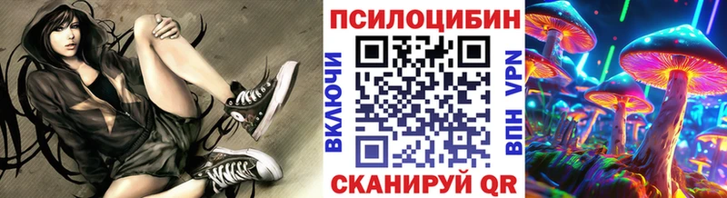 закладка  Мантурово  Галлюциногенные грибы MAGIC MUSHROOMS 